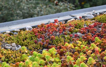 the cost of East Knighton green roof installation