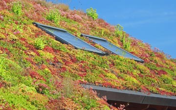 East Knighton living roof systems