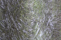 East Knighton fibreglass roof work