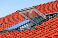 East Knighton roof window